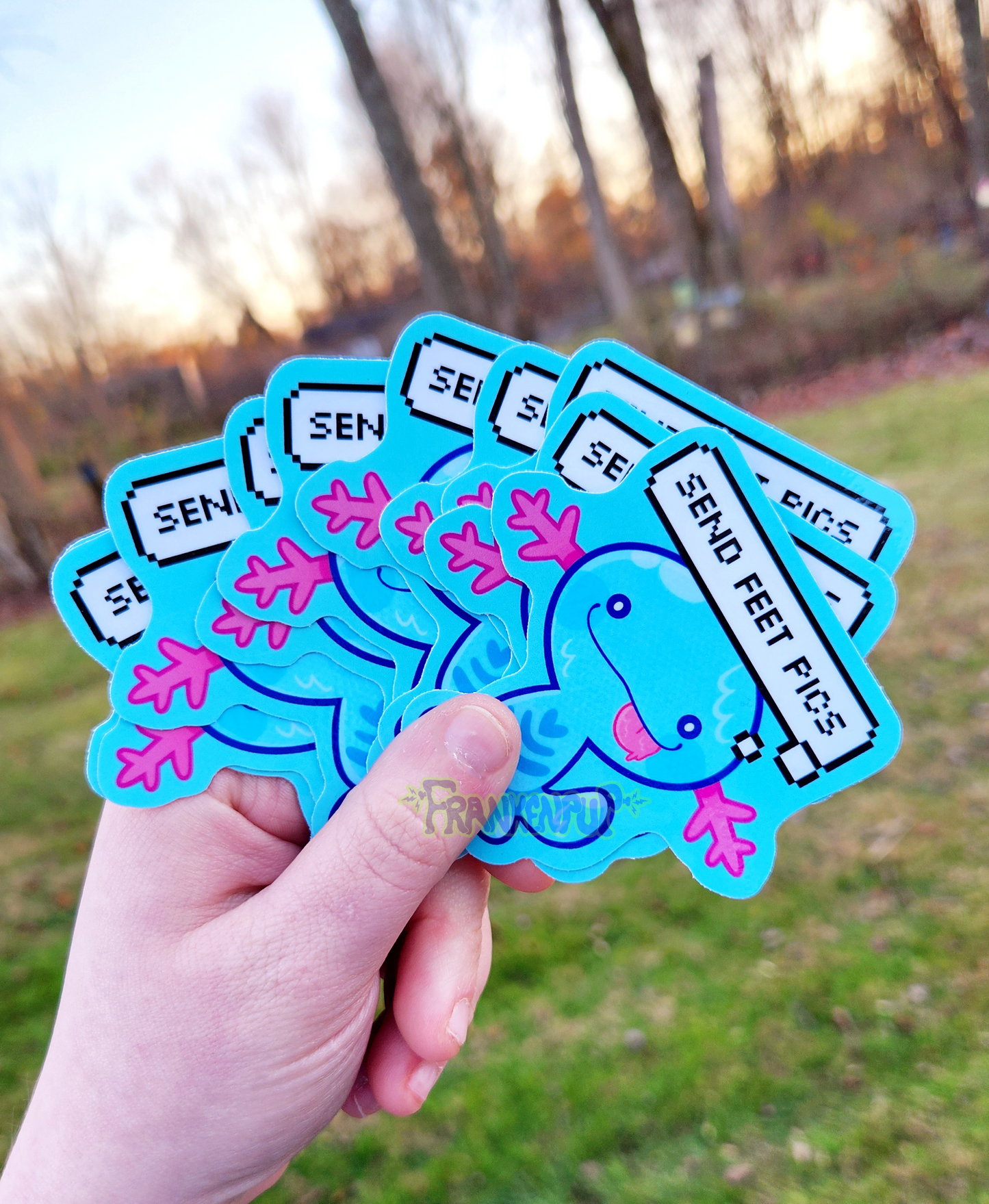 Wooper Requires Pics Sticker