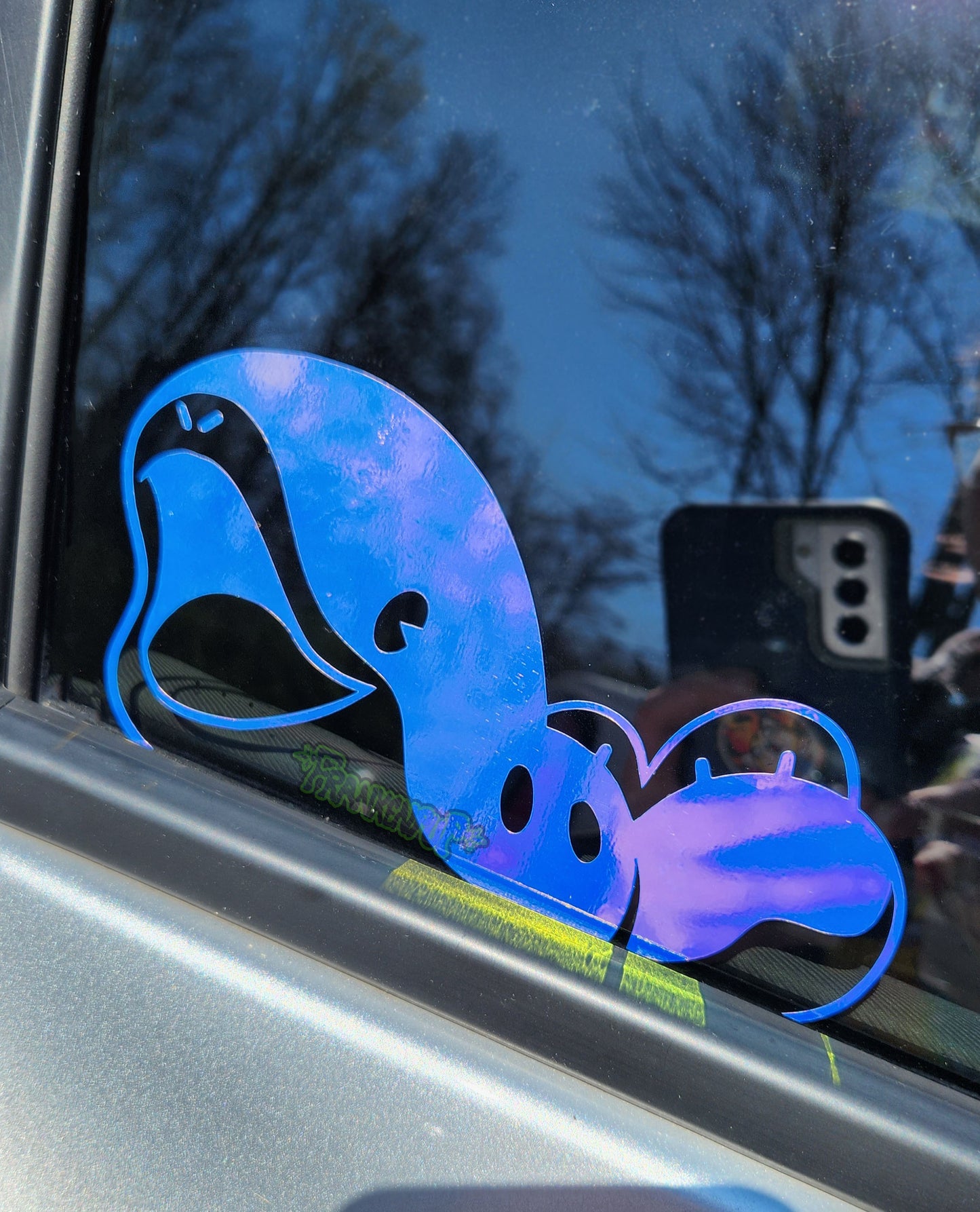 Clodsire Peeker Vinyl Decal