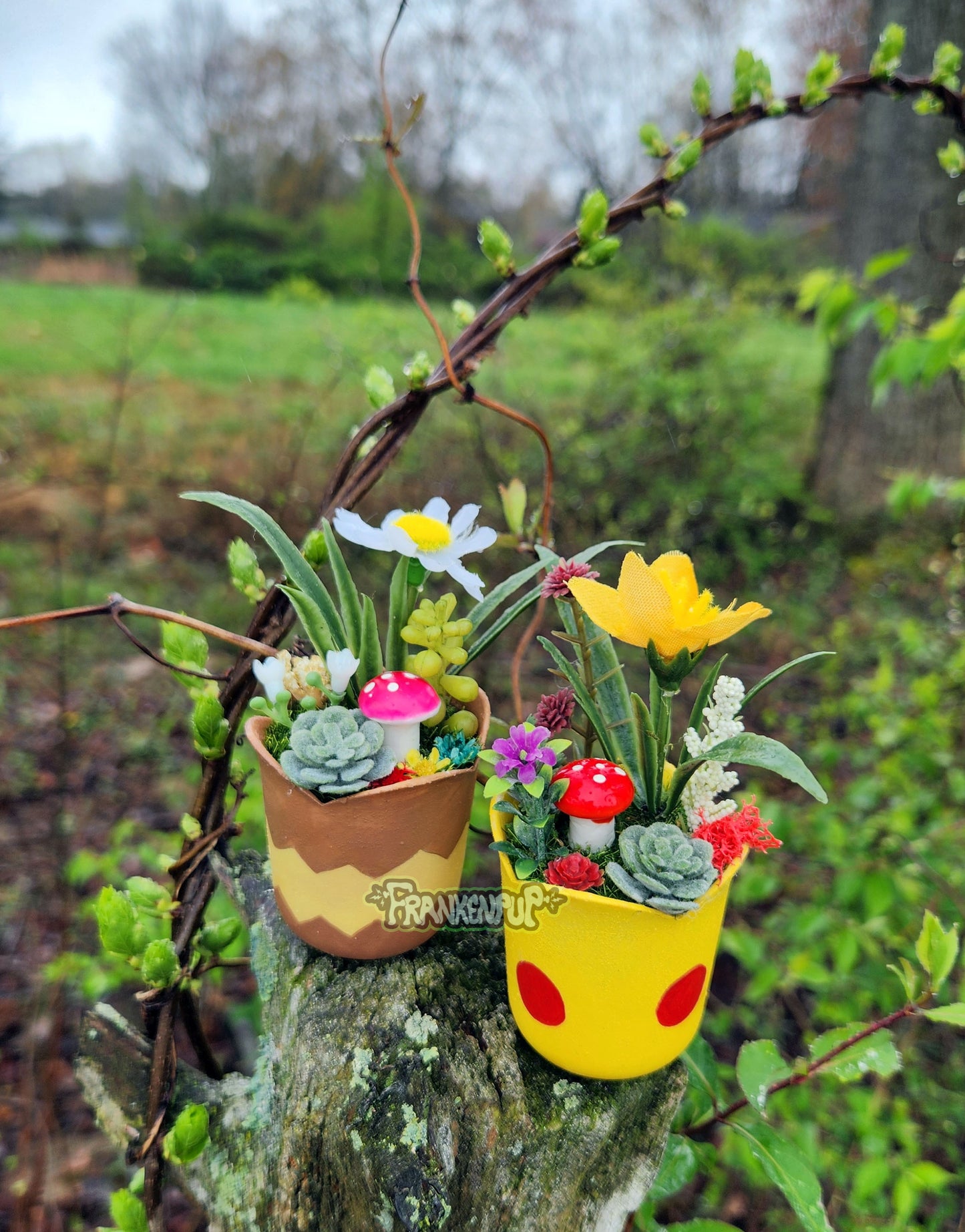 Mini Pokemon Egg Planters